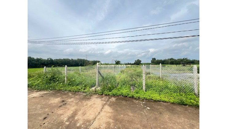 Cần bán lô đất thổ cư 562m² tại Gia Tân 2, Thống Nhất – gần Đức Mẹ Núi Cúi
