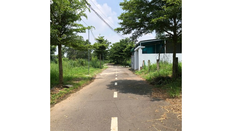  BÁN NHANH nền đất 117,9m² tại xã Trảng Bom, Đồng Nai, chỉ 950 triệu!