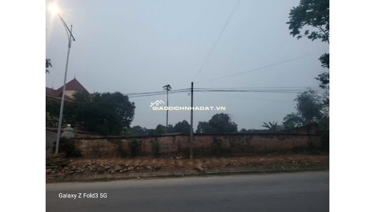 Chính chủ Bán đất  Đường Lạc Hồng, thị trấn Lâm Thao, Phú Thọ