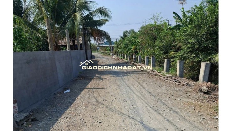 Chính chủ bán miếng đất tại Xã Phước Vân, Huyện Cần Đước, Tỉnh Long An