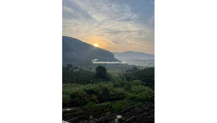 BÁN HOẶC CHO THUÊ BIỆT THỰ 420m2 - 3PN - SÁT DALAT, VIEW RỪNG THÔNG. LH:0909206662.