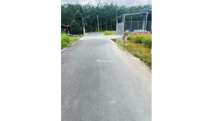 ĐẤT NGỘP - GIÁ CÔNG NHÂN