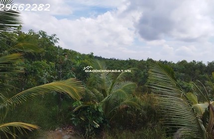 Bán Đất Thổ Cư Gần QL80, Tân Nhuận Đông, Châu Thành, ĐT. 111m2, SH, Giá 460Tr.
