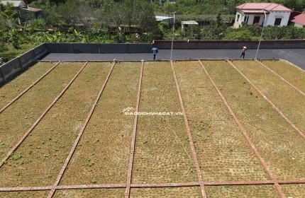 ĐẦU TƯ ĐẤT NỀN PHÚ THÀNH – ĐÓN SÓNG TĂNG GIÁ TỪ KCN & HẠ TẦNG 550tr