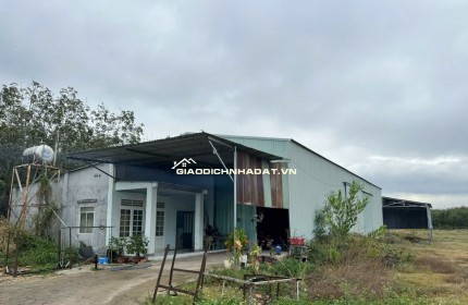 BÁN GẤP! SIÊU PHẨM 4.420,8M² (559m² TC + XƯỞNG), MT 10M NHỰA, Chỉ 5.3 Tỷ, XÃ Tân Bình, TÂY NINH.