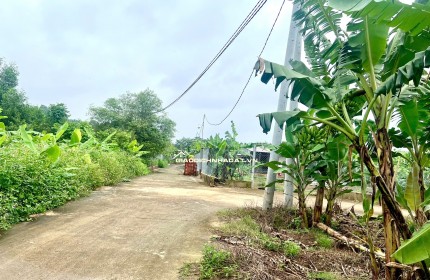 CHỈ TỪ 850 TRIỆU ĐÃ SỞ HỮU NGAY ĐẤT VƯỜN 1300m² GẦN NGÃ TƯ DẦU GIÂY