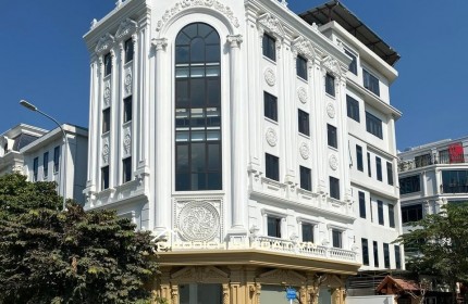 Cho thuê biệt thự ngõ 214 Nguyễn Xiển ,120m x 5 tầng 1 tum thông sàn , thang máy riêng có PCCC hiện đại