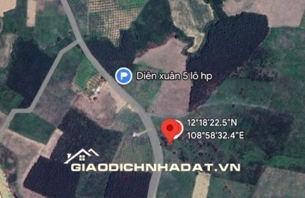 Bán đất Diên Đồng, Diên Khánh, Khánh Hòa - 3666m2 - 1.9 tỷ - Sổ đỏ