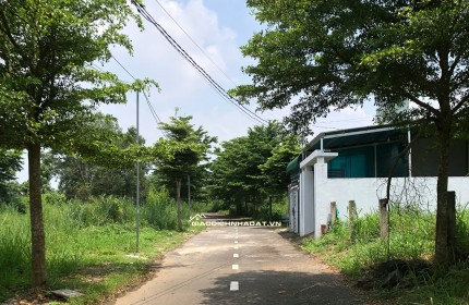 BÁN NHANH nền đất 117,9m² tại xã Trảng Bom, Đồng Nai, chỉ 950 triệu!