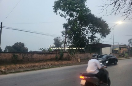 Chính chủ bán 1154m2  đất đầu tư, đường Lạc Hồng, Thì trấn Lâm Thao, Phú Thọ