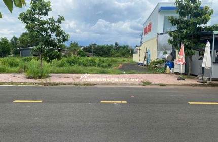 650tr sở hữu lôn đất ngay chợ Tân Phước , đường nhựa thổ cư sổ sẳn