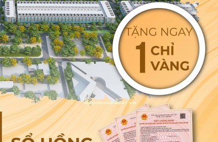 SAIGON LAND 2 – ĐÓN SÓNG ĐẦU TƯ, SINH LỜI BỀN VỮNG