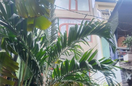 Hoàng Hoa Thám, 7 phòng lớn - 60tr/tháng