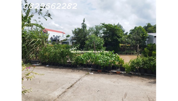 Bán Đất Thổ Cư Phạm Hồng Thái, Sa Đéc. 308m2, Sổ Hồng. Giá 2 Tỷ!