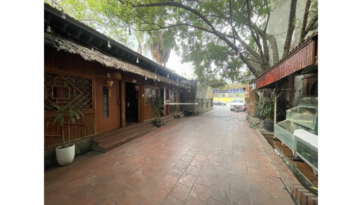 Bán 1200m2 đất tặng biệt thự mặt phố Đội Cấn phường Ngọc Hà