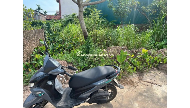 Bán đất thổ cư 63m2 sổ đỏ riêng tại Đắc Sở, Hoài Đức TP Hà Nội