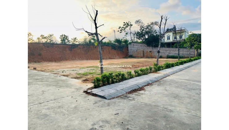 HOT!!! Chỉ 9 triệu/1m2 sở hữu ngay đất ở trung tâm Phường Mạo Khê Quảng Ninh, thổ cư 100%, cơ hội sinh lời cao