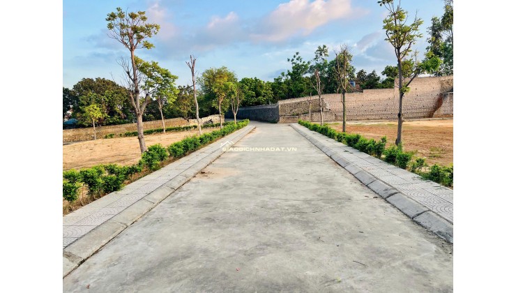 HOT!!! Chỉ 9 triệu/1m2 sở hữu ngay đất ở trung tâm Phường Mạo Khê Quảng Ninh, thổ cư 100%, cơ hội sinh lời cao