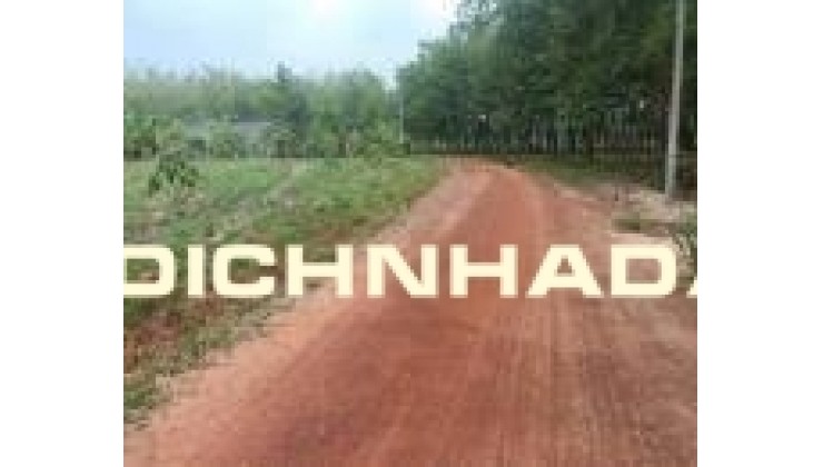 Thanh lý lô đất sổ sắn đất ở đô thị khách cầm bỏ gần DT756 giá chỉ 230tr