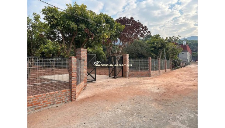 CHÍNH CHỦ CẦN BÁN LÔ ĐẤT BÁM SUỐI CỰC VIP TẠI BẢN 19.8 XÃ MƯỜNG SANG- HUYỆN MỘC CHÂU