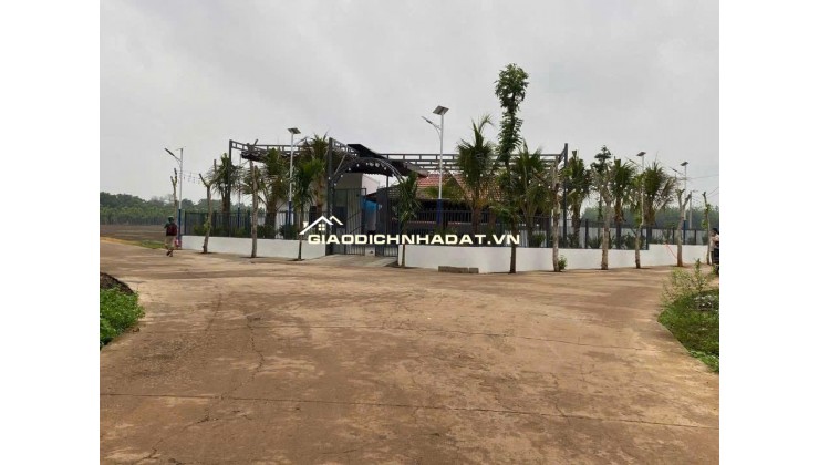  Cần bán đất tại Bình Phước – vị trí đẹp, tiềm năng sinh lời cao 