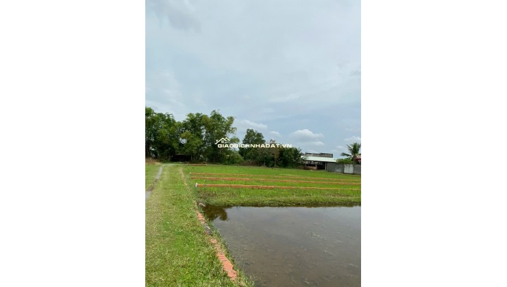 CHÍNH CHỦ BÁN LÔ ĐẤT 1000M2 GIÁ SIÊU TỐT TẠI BÀU SEN, ĐỨC HÒA, LONG AN