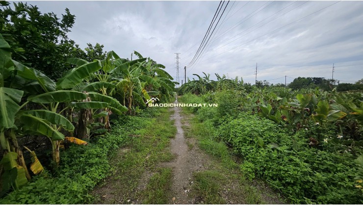 Bán đất Sài Sơn, Quốc Oai, SĐ 200m2, MT 5m, đường ô tô vào, sát đường 40m sắp mở