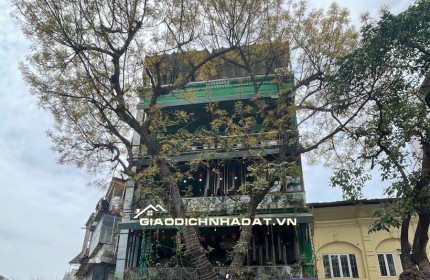  BÁN NHÀ PHỐ CỔ HÀNG CÓT - LÔ GÓC 3 MẶT THOÁNG - MẶT TIỀN HOA HẬU - KINH DOANH CỰC ĐỈNH 