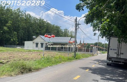 SỞ HỮU ĐẤT THỔ CƯ BÌNH DƯƠNG, SAU KCN, DÂN ĐÔNG CHỈ VỚI 200TR-CÔNG CHỨNG NGAY.