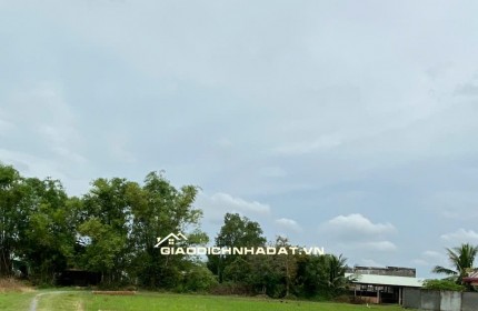 CHÍNH CHỦ BÁN LÔ ĐẤT 1000M2 GIÁ SIÊU TỐT TẠI BÀU SEN, ĐỨC HÒA, LONG AN