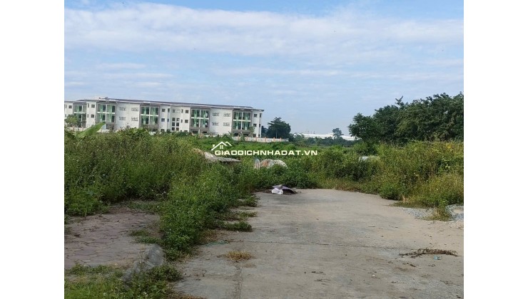 B.á.n đất đấu giá tổ 3 (Giai Lạc), xã Quang Minh, HN, DT80m, MT5m, vỉa hè, ôtô, g.i.á đầu tư 4.xtỷ, Lh 0869344682