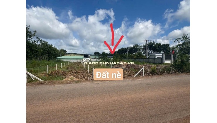 Bán Đất Minh Hoà Dầu Tiếng liền kề dân cư 600m2 giá chỉ 300tr