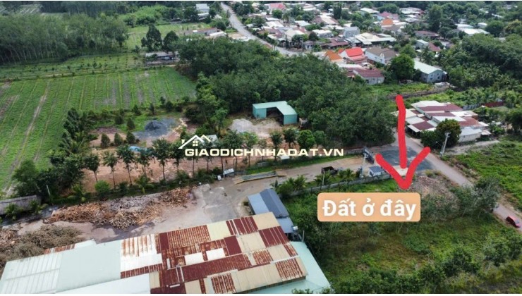 Bán Đất Minh Hoà Dầu Tiếng liền kề dân cư 600m2 giá chỉ 300tr
