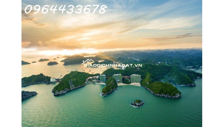Flamingo Cát Bà – Resort không gian xanh ở 2 bãi tắm Cát Cò 1 & 2, giá chỉ từ khoảng 1,x tỷ