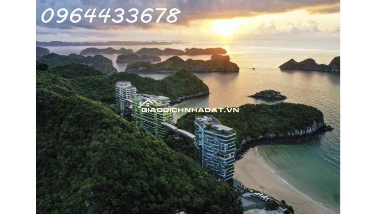 Flamingo Cát Bà – Resort không gian xanh ở 2 bãi tắm Cát Cò 1 & 2, giá chỉ từ khoảng 1,x tỷ