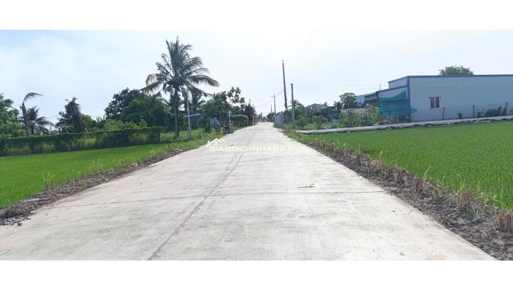 Bán lô đất thổ lúa làm nhà vườn giá 1,65 tỷ