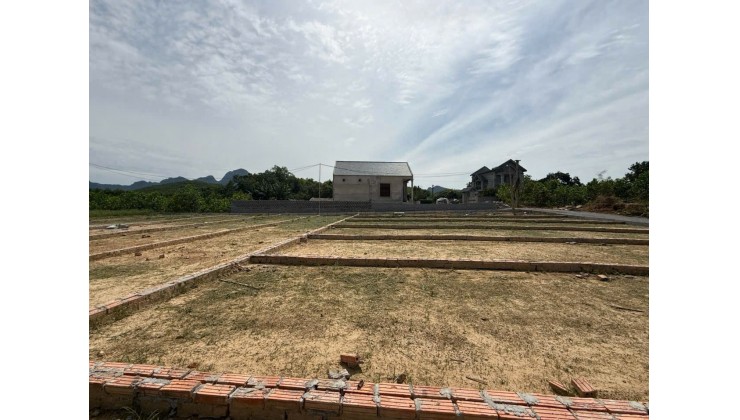 SỞ HỮU ĐẤT ĐẸP, GIÁ RẺ – TRUNG TÂM AN BÌNH, Tiềm Năng Tăng Giá Cao!