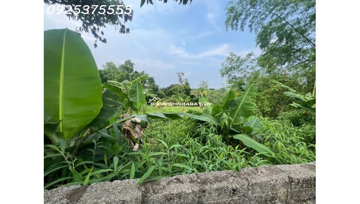 Siêu phẩm đất đẹp vuông như bánh chưng, giá rẻ tại Phú Mãn, Quốc Oai