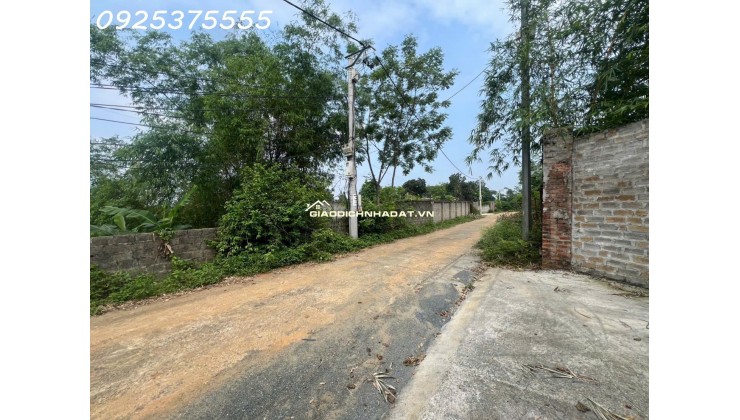 Siêu phẩm đất đẹp vuông như bánh chưng, giá rẻ tại Phú Mãn, Quốc Oai