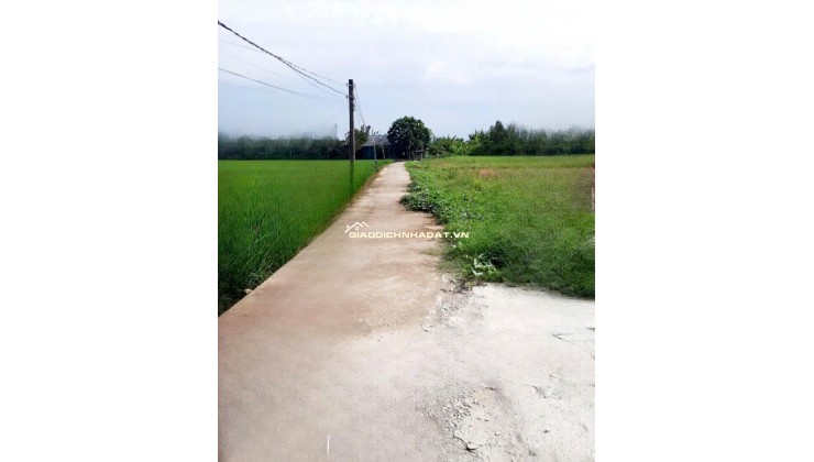  ĐẤT THỔ CƯ TÂN TRỤ-150m2 – XÂY DỰNG TỰ DO [299 TRIỆU] 