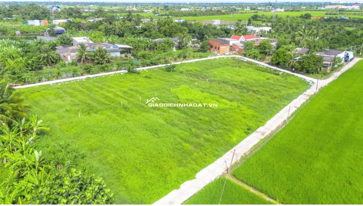  ĐẤT THỔ CƯ TÂN TRỤ-150m2 – XÂY DỰNG TỰ DO [299 TRIỆU] 