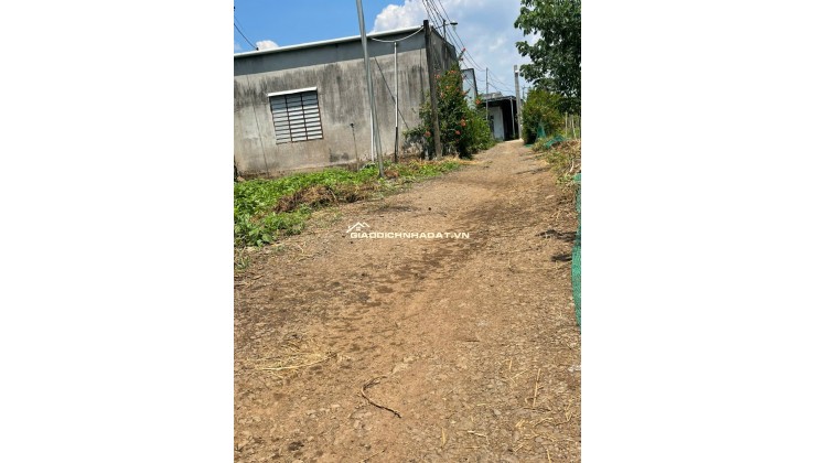 Lô đất 1000m² (ngang 10m), sổ hồng riêng, đường 3m, gần Chợ, Nhà Thờ Suối Nho