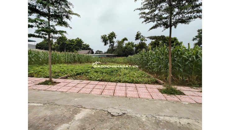 Chính Chủ Gửi Bán 144 m 50 thổ cư  chỉ 1, x tỷ 
Nhuận Trạch Lương Sơn -HB (PHÚ THỌ MỚI)