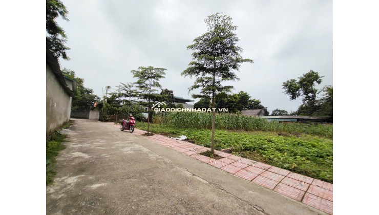 Chính Chủ Gửi Bán 144 m 50 thổ cư  chỉ 1, x tỷ 
Nhuận Trạch Lương Sơn -HB (PHÚ THỌ MỚI)