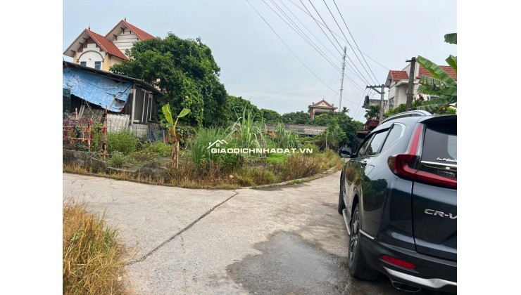 Siêu Phẩm Hoàn Long. Yên Mỹ. Full thổ cư chia được 3-4 lô