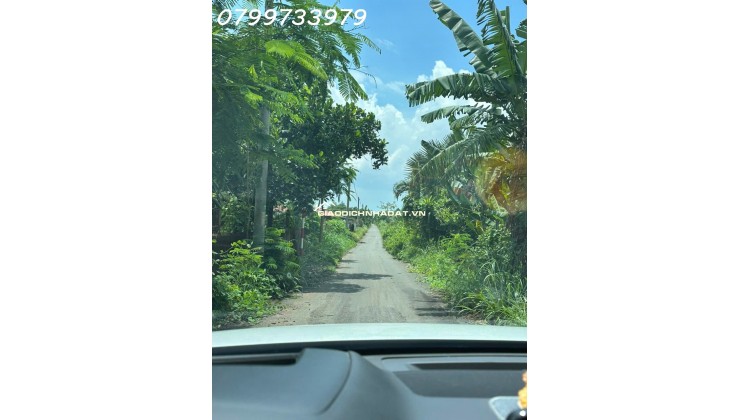 Bán 12.000m2 đất, xã Suối Rao, Bà Rịa Vũng Tàu, tặng nhà vườn, giá chỉ 14,9 tỷ