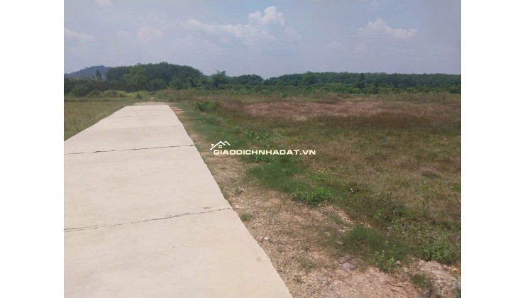CHÍNH CHỦ BÁN ĐẤT CLN TẠI XÃ ĐẠ KHO, HUYỆN  ĐẠ TẺH, LÂM ĐỒNG