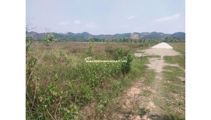 CHÍNH CHỦ BÁN ĐẤT CLN TẠI XÃ ĐẠ KHO, HUYỆN  ĐẠ TẺH, LÂM ĐỒNG