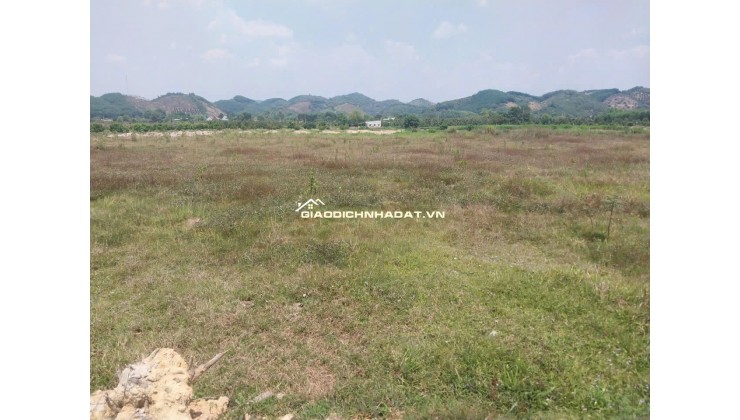 CHÍNH CHỦ BÁN ĐẤT CLN TẠI XÃ ĐẠ KHO, HUYỆN  ĐẠ TẺH, LÂM ĐỒNG