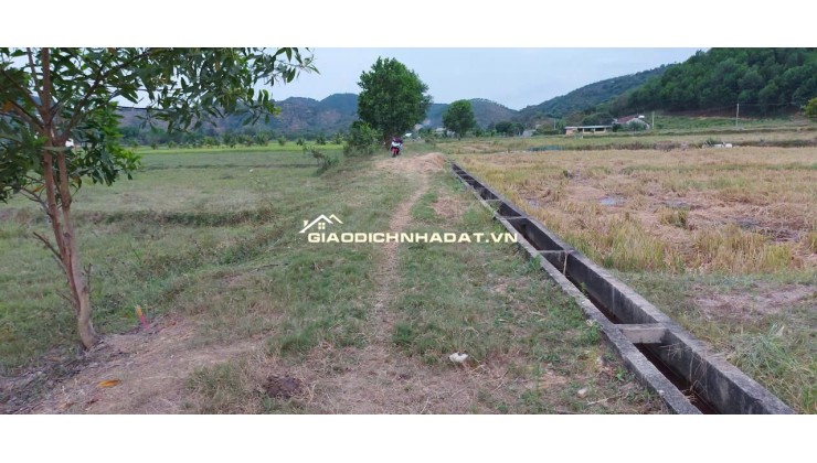 CHÍNH CHỦ BÁN ĐẤT CLN TẠI XÃ ĐẠ KHO, HUYỆN  ĐẠ TẺH, LÂM ĐỒNG